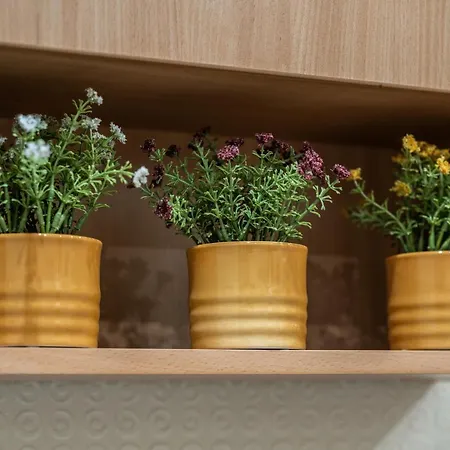 公寓 Orange 55 里加